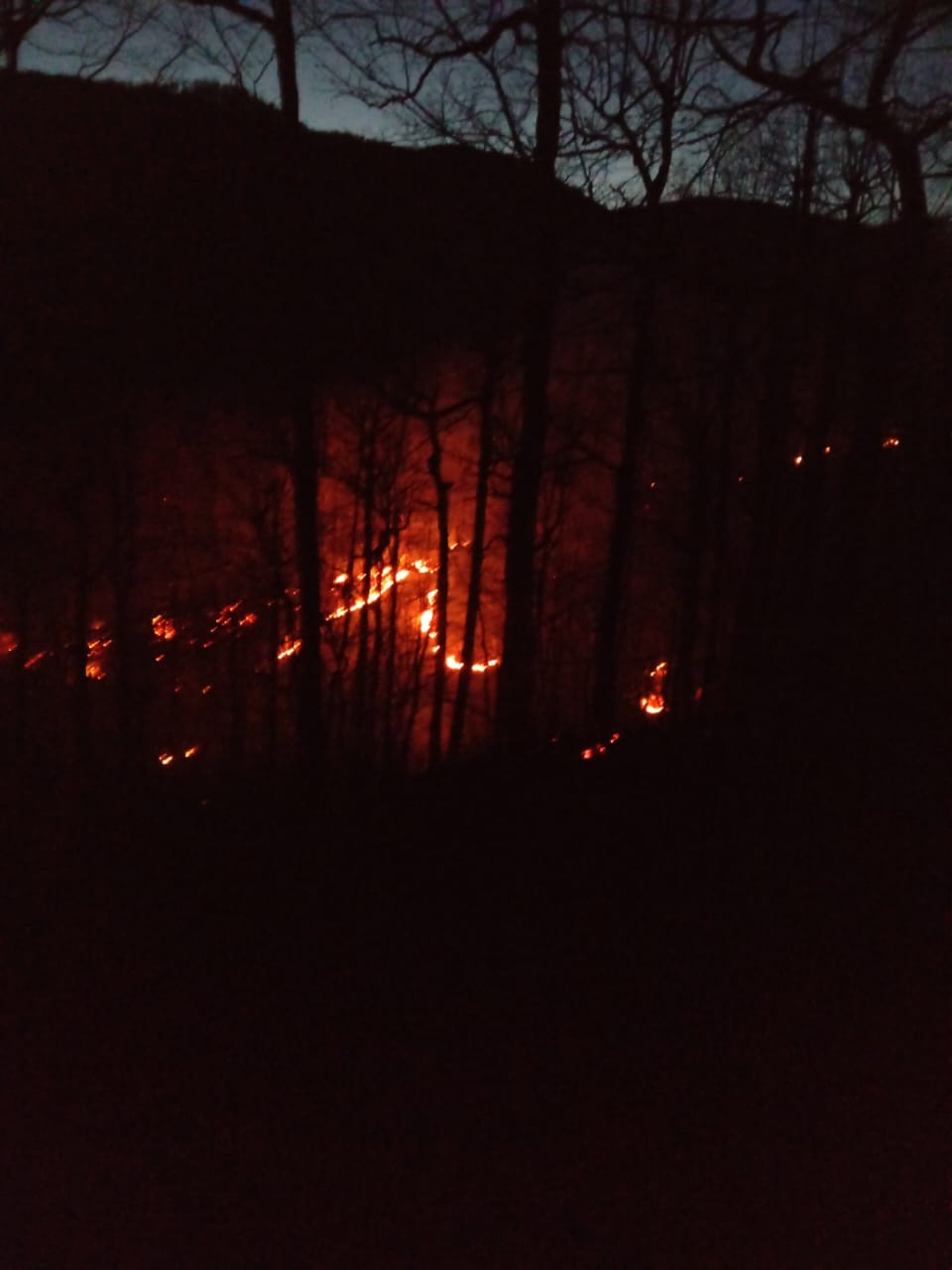 Спасатели тушат лесной пожаре уже больше пяти часов в Краснодарском крае