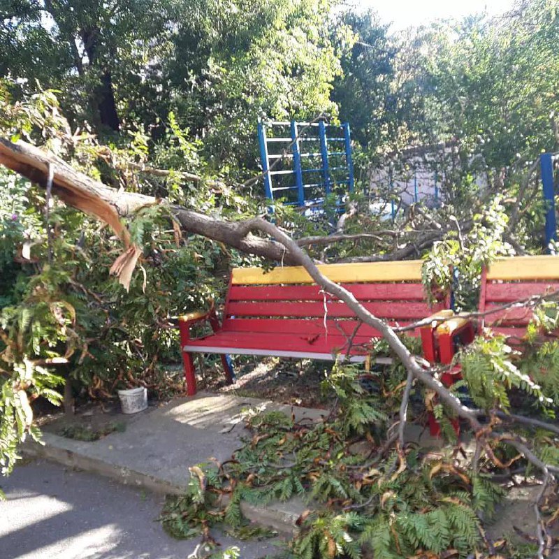 В Новороссийске ураган переворачивает машины, валит деревья и обрывает провода ВИДЕО
