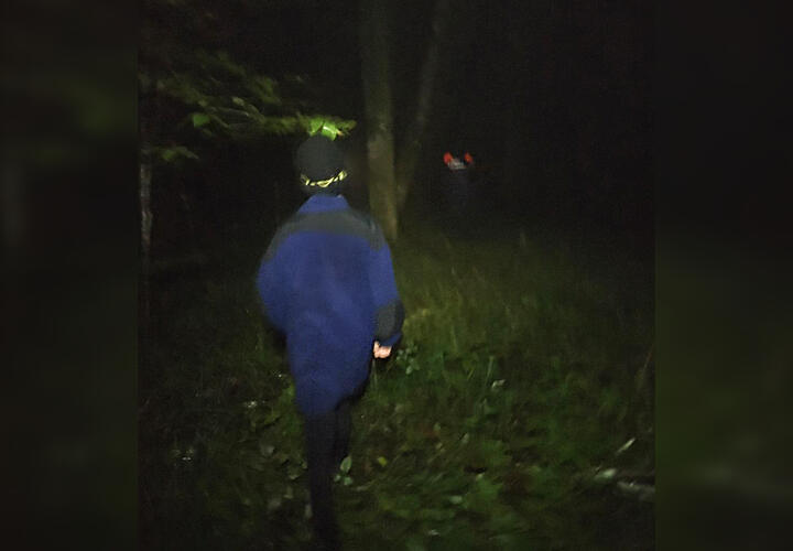 В лесу Сочи заблудилась женщина с 12-летним ребенком