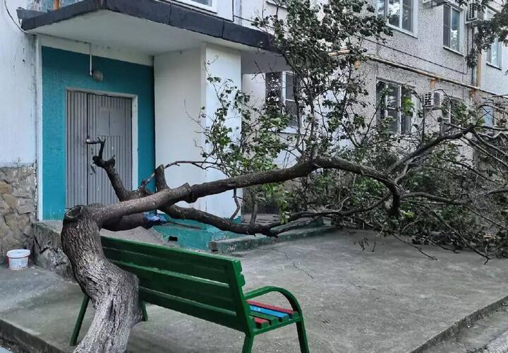 В Новороссийске ураган переворачивает машины, валит деревья и обрывает провода ВИДЕО