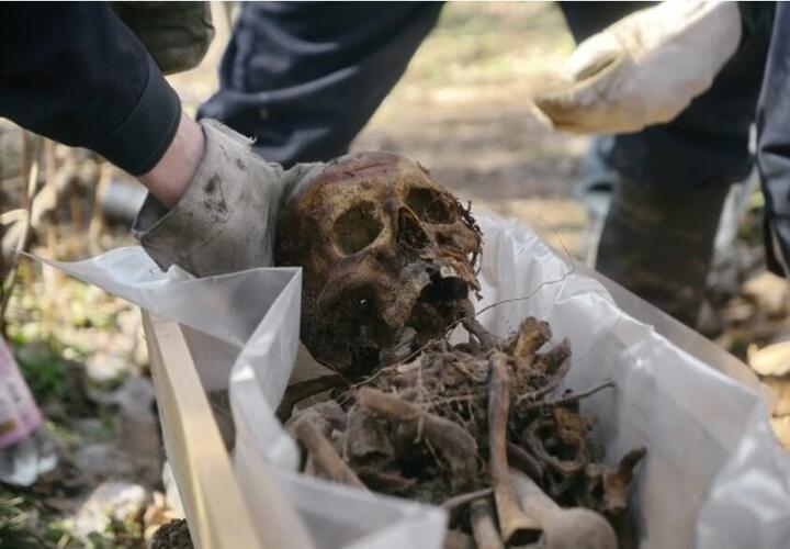 В Динском районе Кубани нашли человеческий скелет