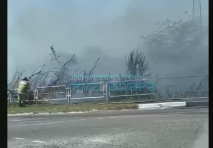 В Анапе возле АЗС горит камыш на площади 1500 квадратных метров