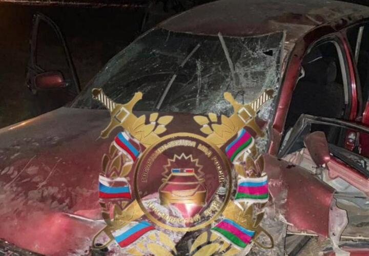 На Кубани водитель иномарки на полном ходу врезался в дерево и погиб