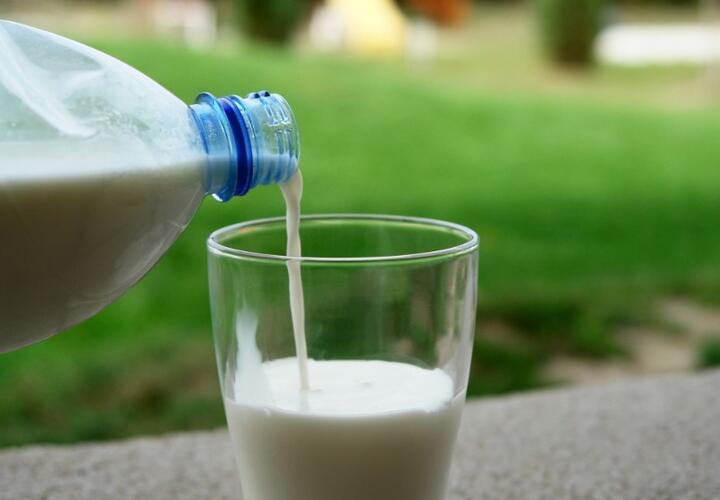 Молочные продукты в России резко подорожают