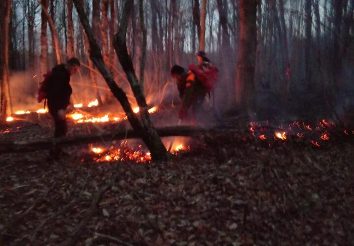Больше восьми гектаров леса всю ночь тушили спасатели в Краснодарском крае 