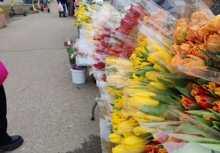 Цветочный ступор: с утра 8 марта у рынков Краснодара наблюдаются пробки в 10 баллов