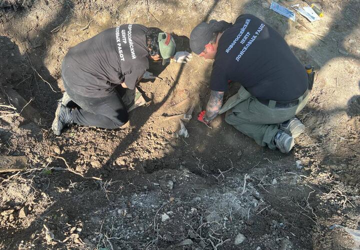 Под Новороссийском нашли кости расстрелянных фашистами мирных жителей