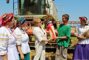 В «Прогресс Агро» убирают озимую пшеницу