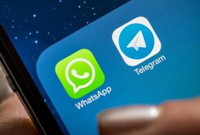 Россияне начали массово отказываться от WhatsApp