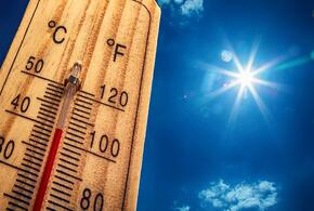 Лето в Краснодарском крае будет аномально жарким