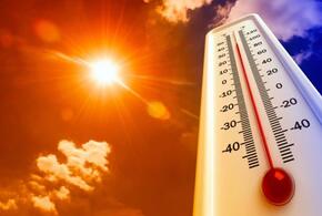 Во второй половине июля на Кубань придет аномальная жара