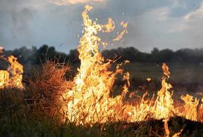 В Краснодарском крае 26 и 27 июня сохранится высокая пожароопасность