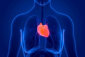 Ученые рассказали, что может привести к внезапной остановке сердца