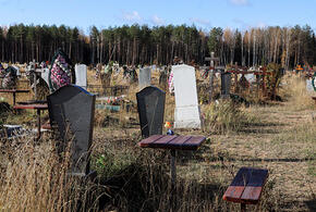 Администрацию села в Кореновском районе Кубани только через суд удалось обязать убрать мусор с местного кладбища