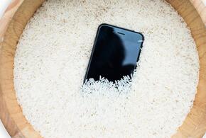 Рис не помогает: в Apple назвали самый простой способ высушить намокший iPhone