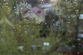 Дожди и грозы: синоптики рассказали о погоде на Кубани 26 марта