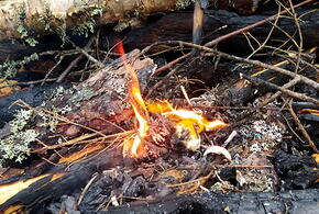 МЧС предупредила жителей Кубани о высокой пожароопасности