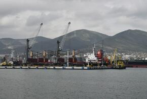  Руководство Новороссийского морского торгового порта подозревают в нарушении законодательства