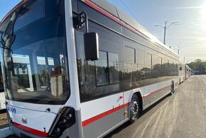 Электробусы из Беларуси выйдут на маршруты в Краснодаре