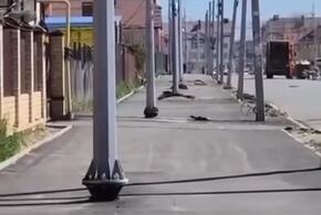 Столбы установили посреди тротуара в поселке Российском Краснодара