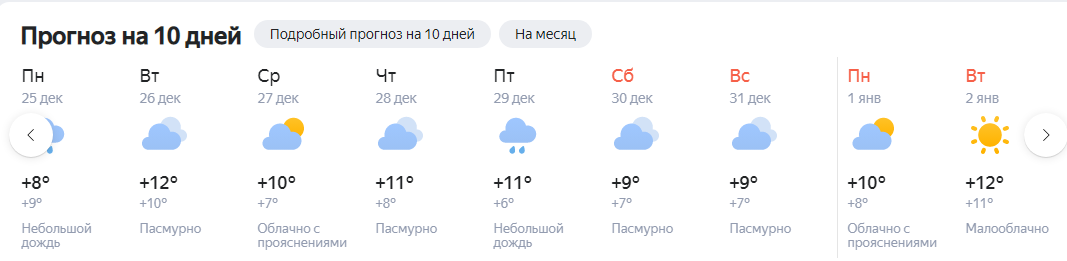 Будет снег или нет: рассказываем, какую погоду ожидать кубанцам на Новый год