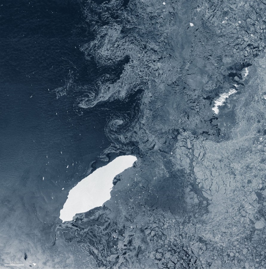  Антарктическому острову грозит экологическая катастрофа