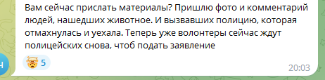 Жители Краснодара рассказали об изнасиловании и убийстве дворняги