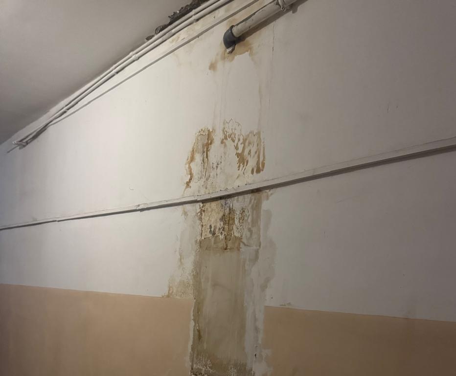 Фото: Живая Кубань