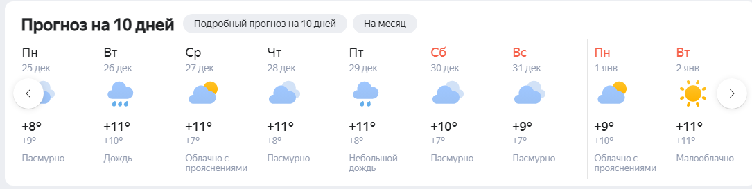 Будет снег или нет: рассказываем, какую погоду ожидать кубанцам на Новый год