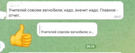 Попались на крючок: учителя поздравили Путина с днем рождения плакатами с изображением Бандеры