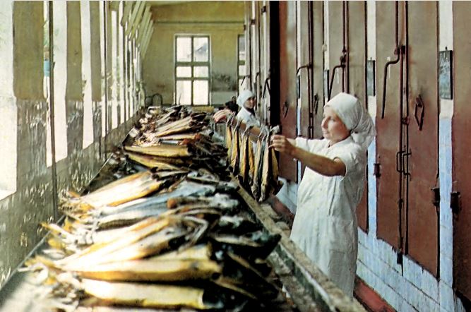 Покончили с былой славой: в Новороссийске продают территорию бывшего рыбзавода