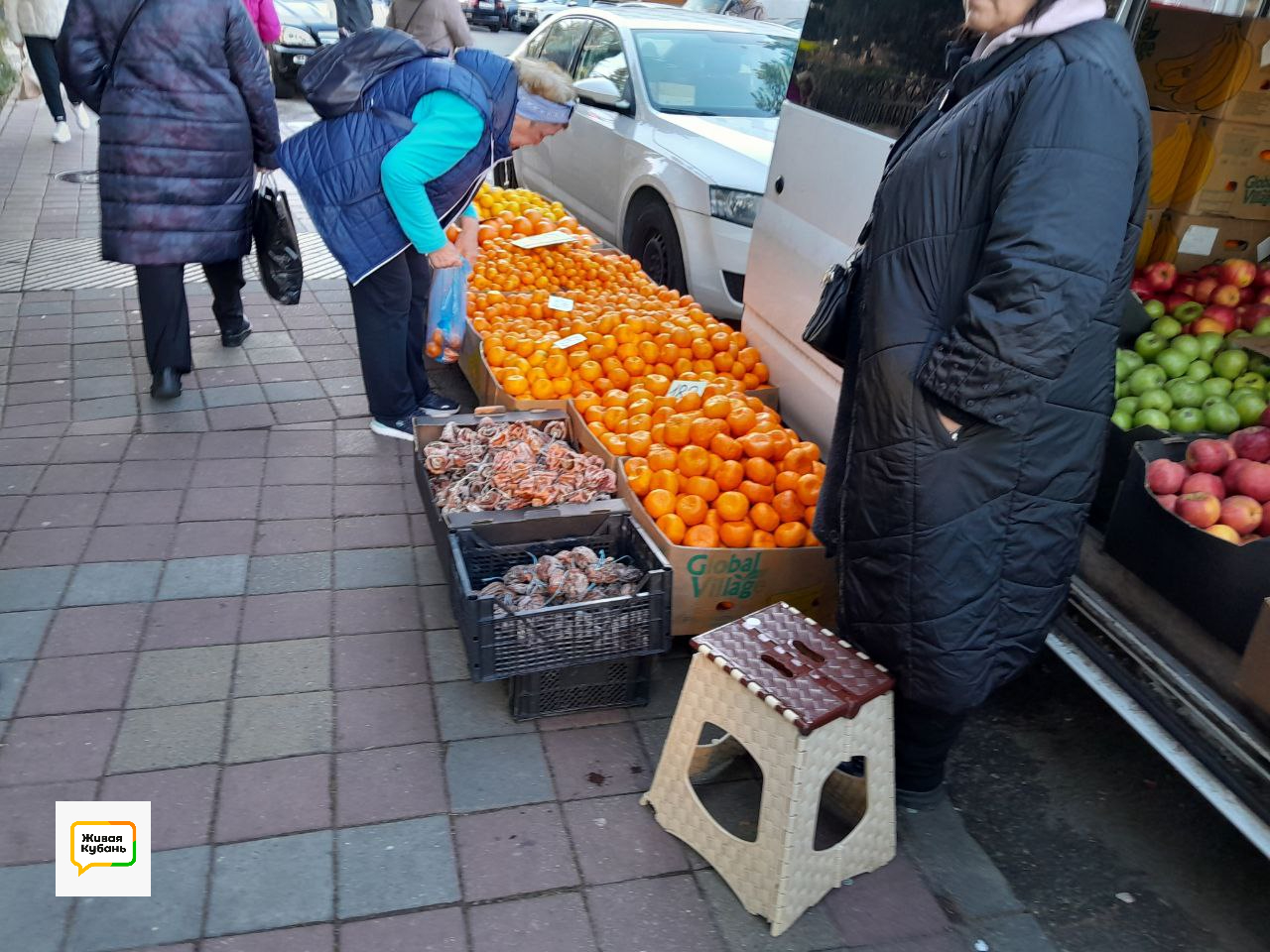 Фото: Живая Кубань