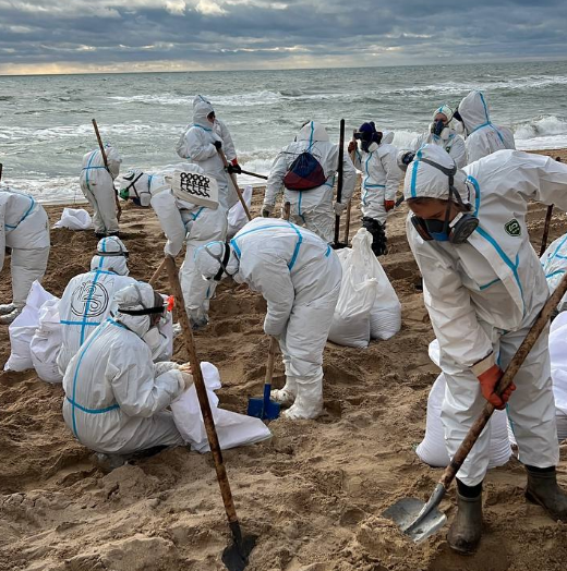 Волонтеры изменили подход к сбору мазута в Анапе