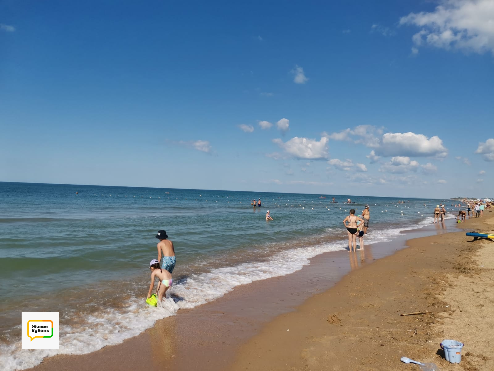 Фото: Живая Кубань