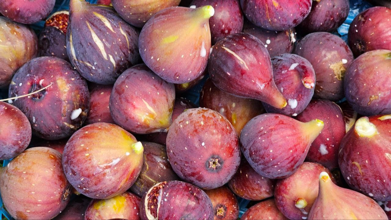 Фото: Живая Кубань