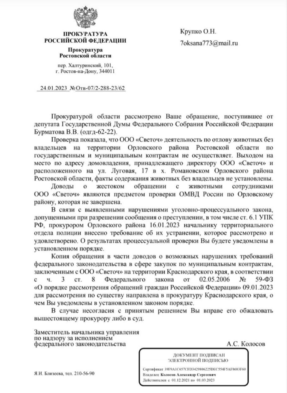 Жесть: волонтеры из Краснодара обнаружили могильник на месте приюта для собак 