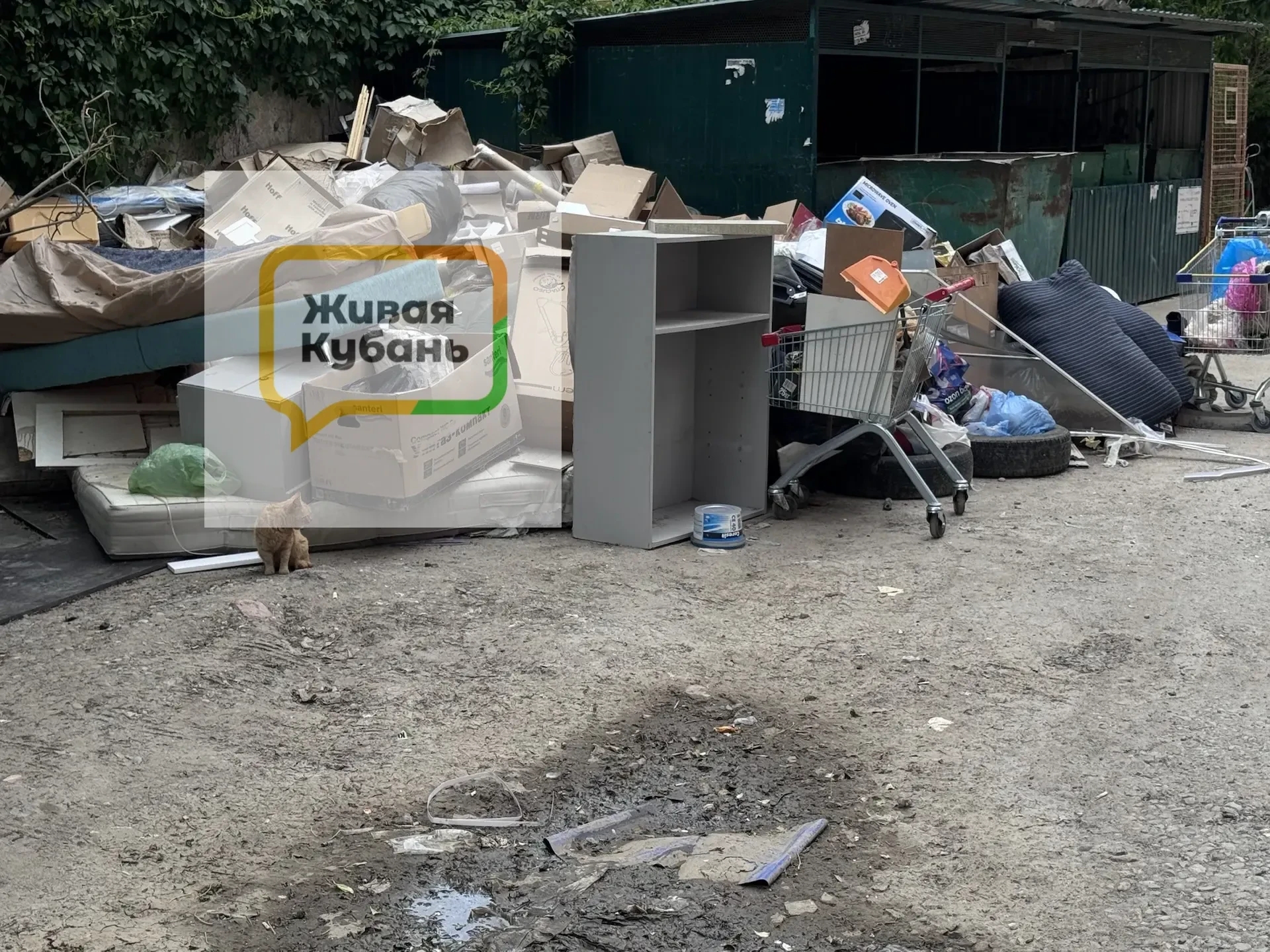 мусор крас
