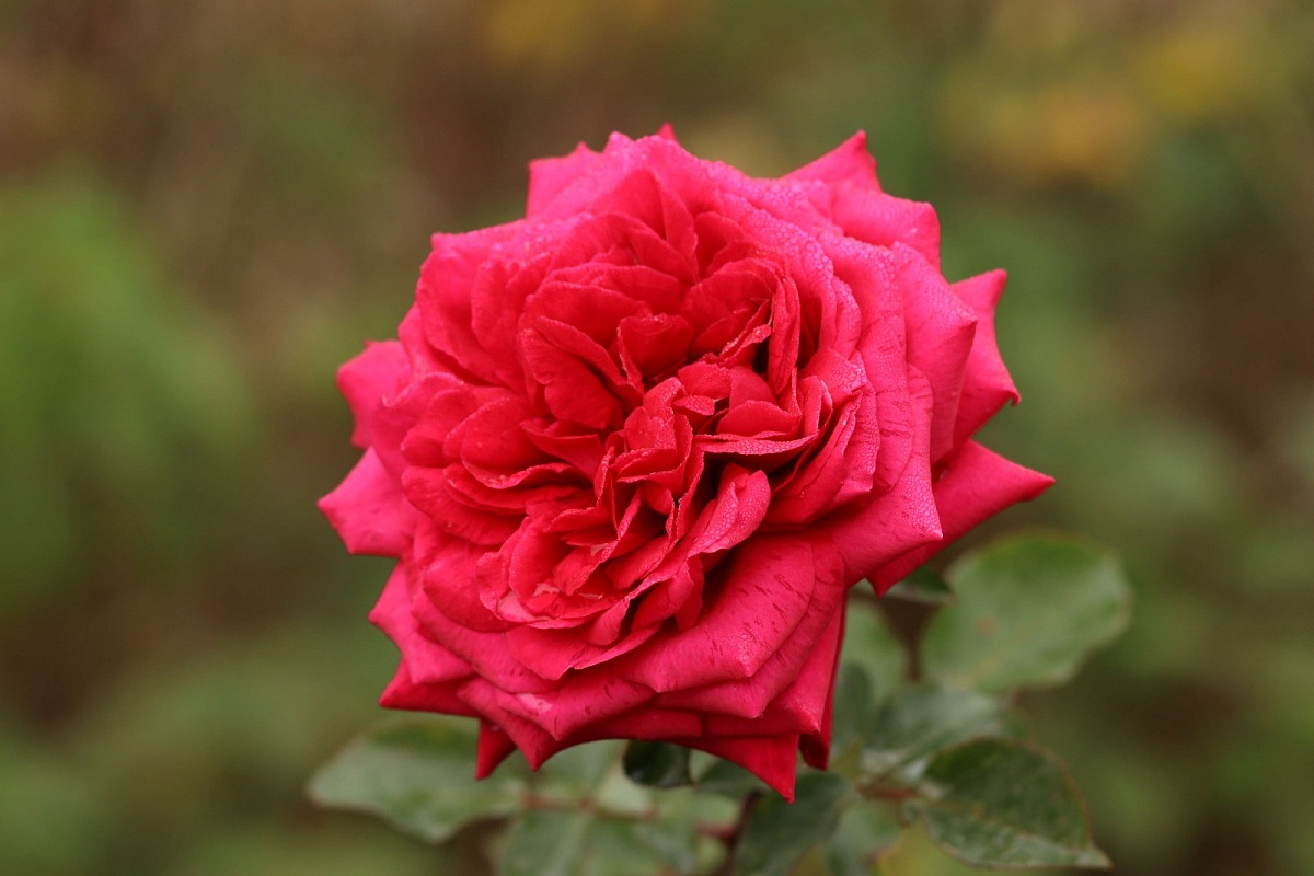 Фото: Живая Кубань