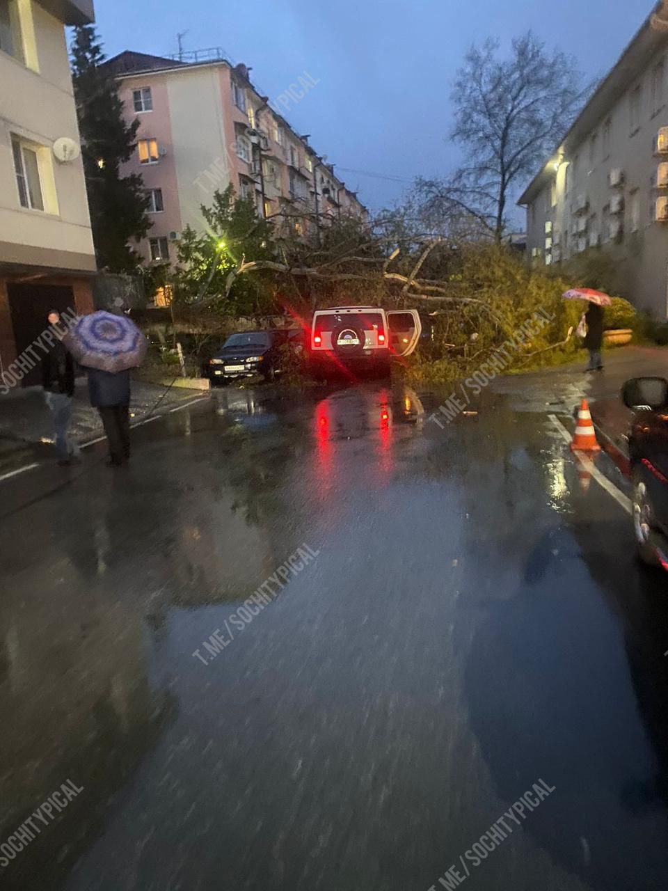 Фото: ЧП Сочи