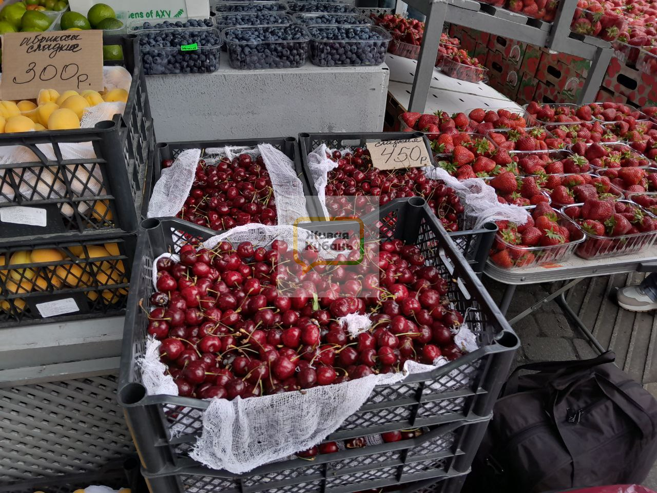 Фото: Живая Кубань