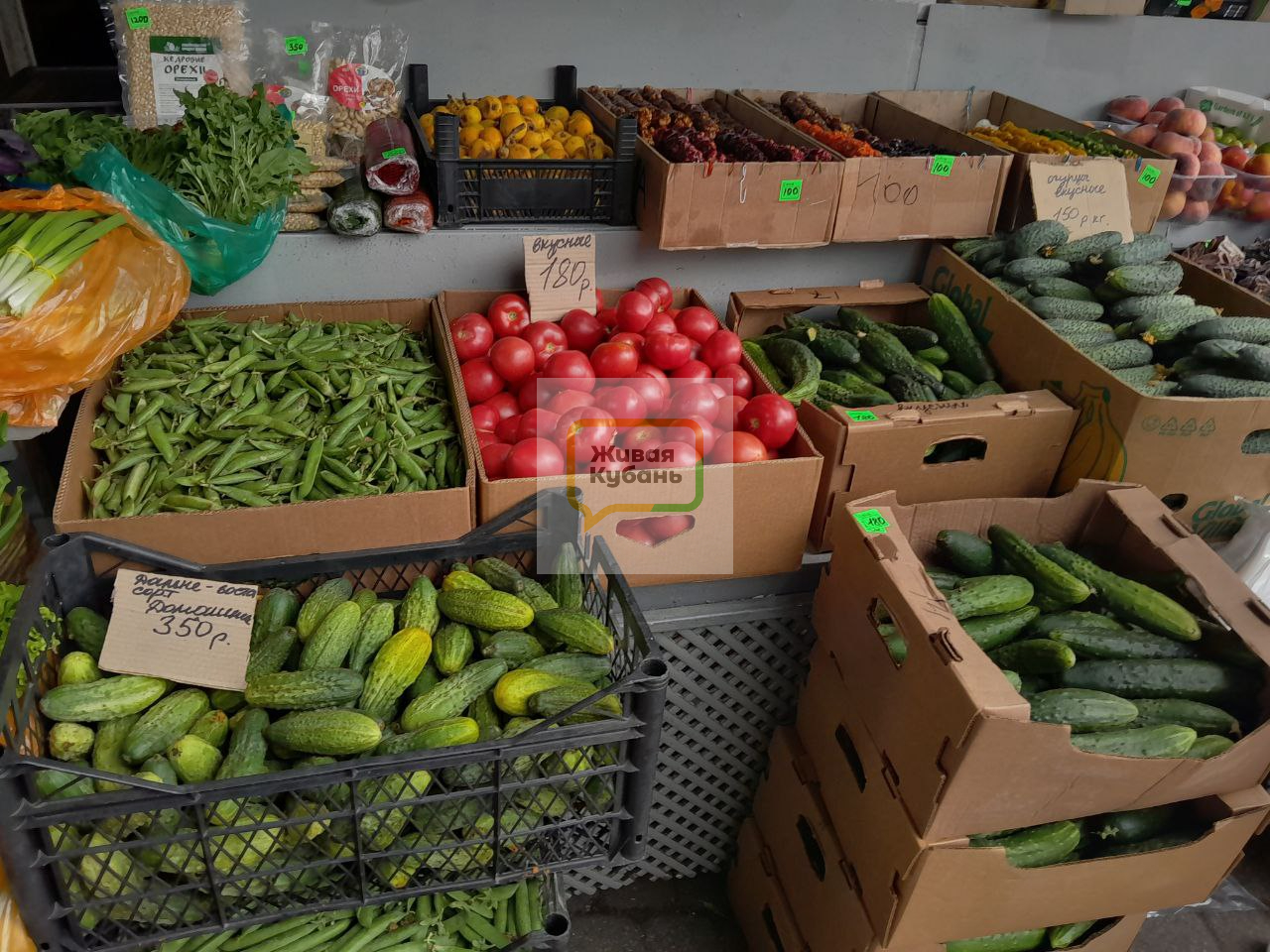 Фото: Живая Кубань