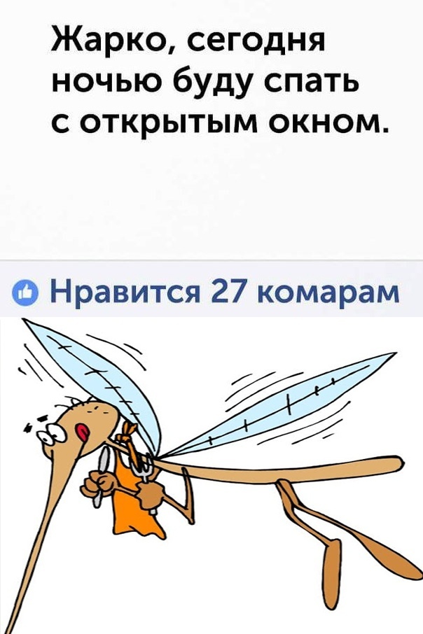 Борьба с комарами в квартире развивает слух, внимание, ловкость и паранойю: анекдоты дня