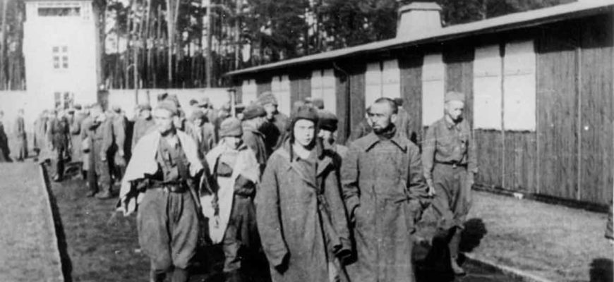 ��� ����� ��������: 101-������� �������� ��� ����� ��������