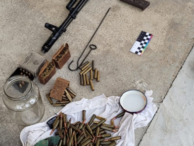 У 33-летнего жителя Кубани в парниках нашли арсенал и винотеку суррогата     