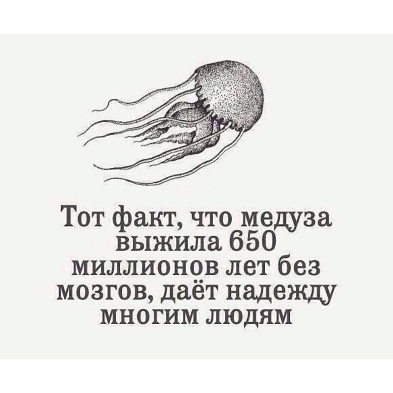 Турист из Сибири установил один из мировых рекордов в плавании, приняв пакет за огромную медузу: анекдоты дня