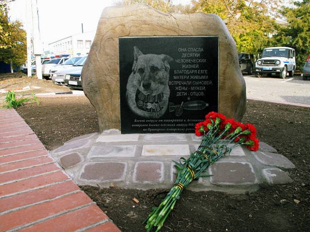 Овчарке, спасшей десятки человеческих жизней, поставили памятник на Кубани