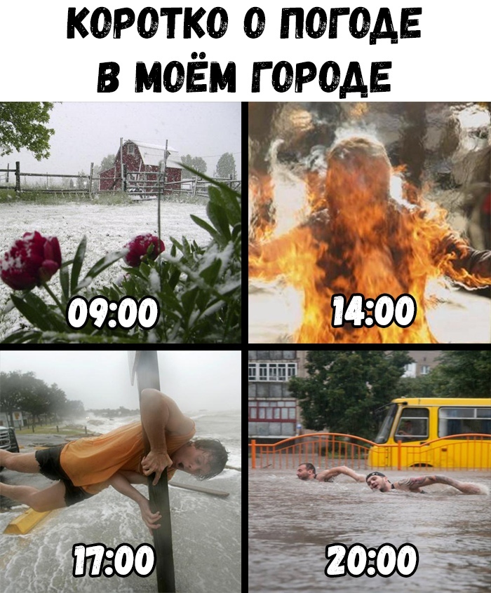 - Чему вы научились, живя в Краснодаре? - Могу по длине пробки определить точное время суток: анекдоты дня