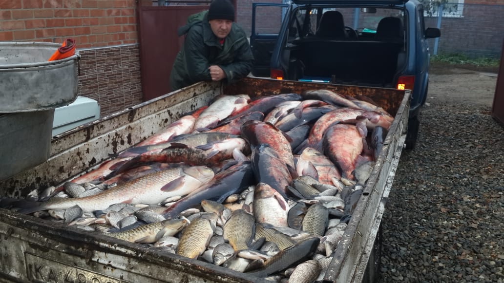 Фермер пожаловался на «полицейский беспредел» в Брюховецком районе