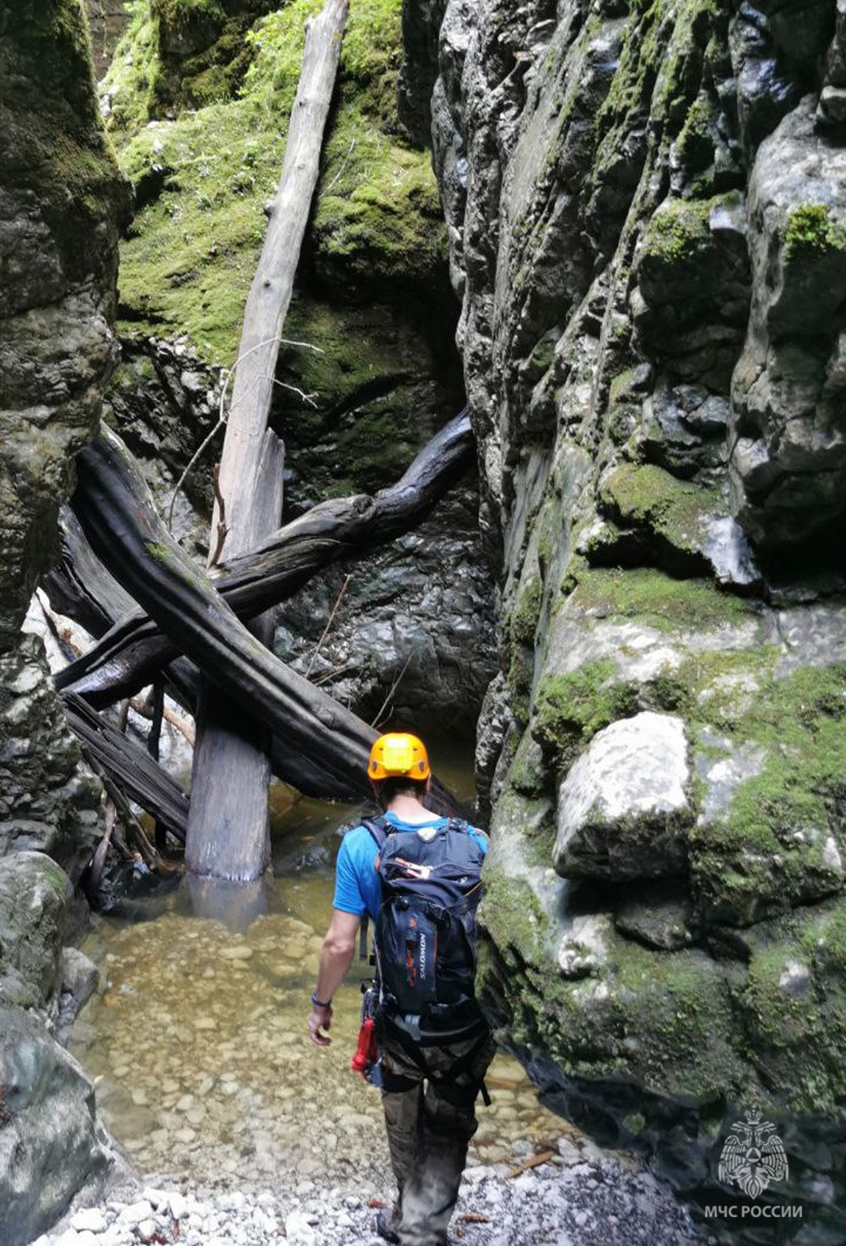 � ���� ����� ���� ���� 69-������ �������, ������� ���� �������� �����