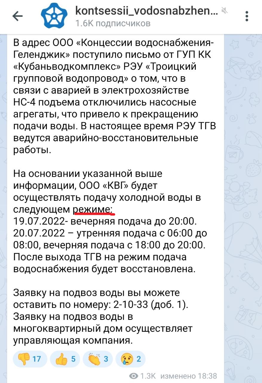 В Геленджике ввели режим в разгар куротного сезона